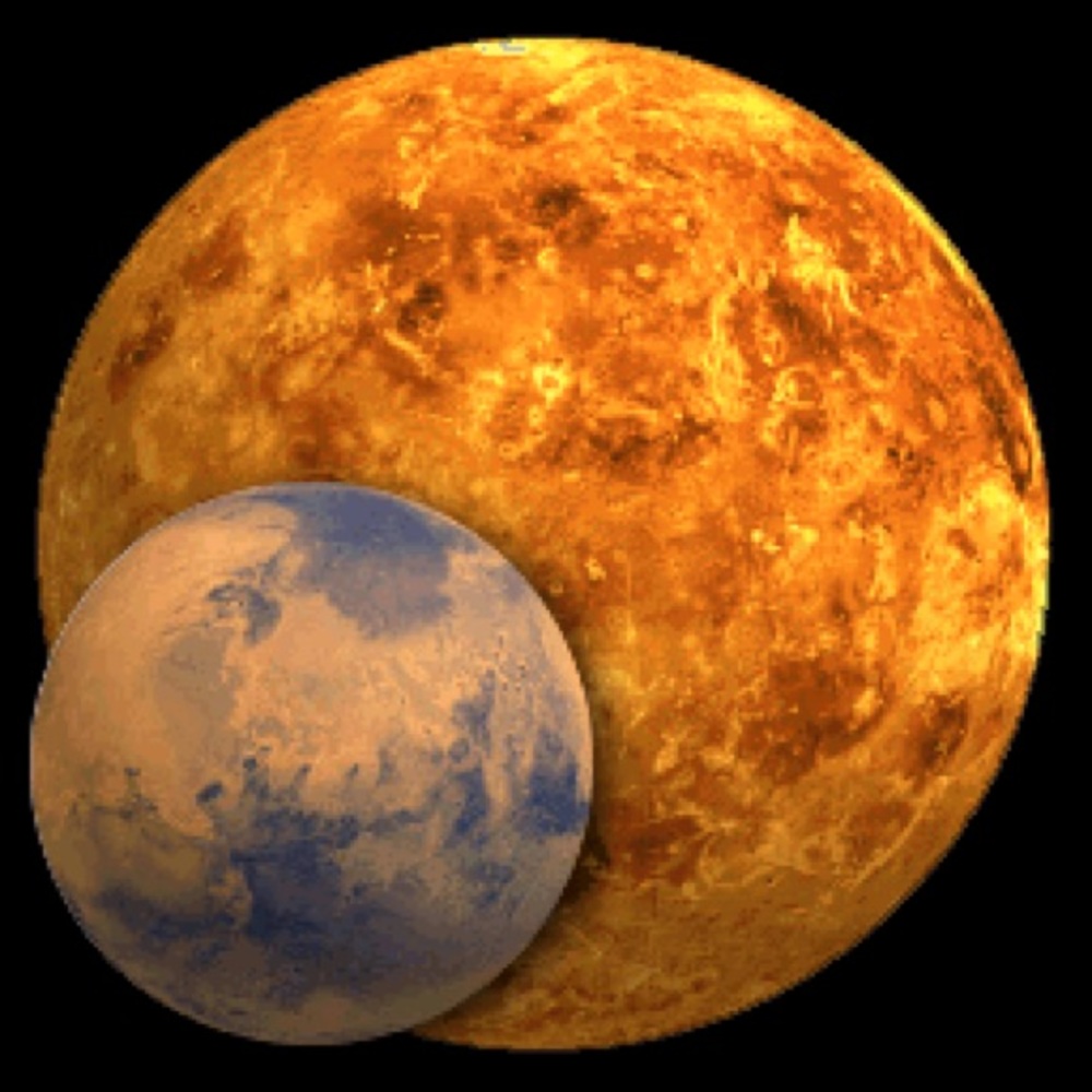 Meet your Posher, Sandy